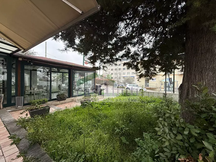 Immagine 9 di Locale commerciale in affitto  in Via Dei Vestini 114 a Chieti