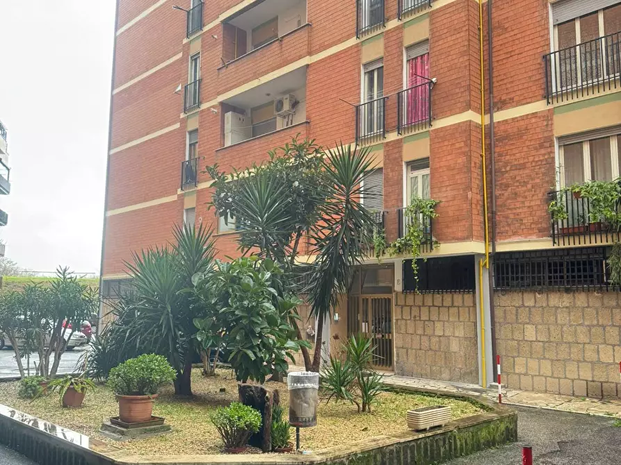 Immagine 2 di Appartamento in vendita  in via pieve fosciana 93 a Roma