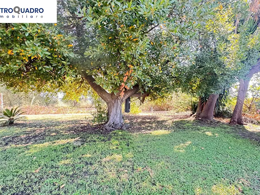Immagine 17 di Villa in vendita  in Via Della Tenuta La Pisana 171 a Roma