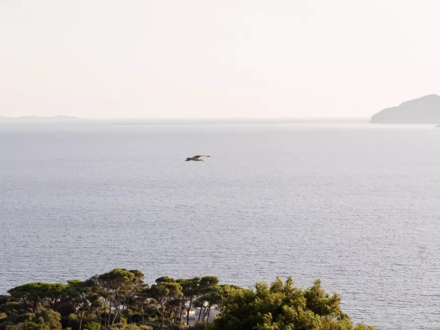 Immagine 27 di Appartamento in affitto  in Via delle Ginestre a Orbetello