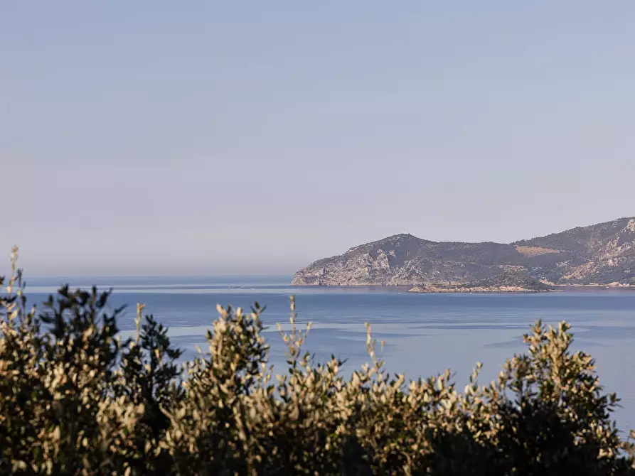 Immagine 6 di Appartamento in affitto  in Via delle Ginestre snc a Orbetello