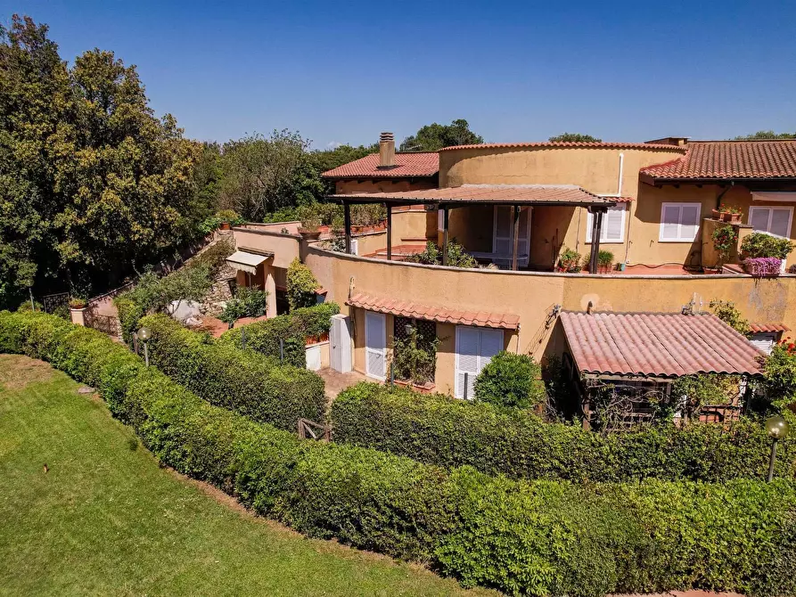 Immagine 5 di Appartamento in affitto  in Residence Il Mascherino snc a Monte Argentario