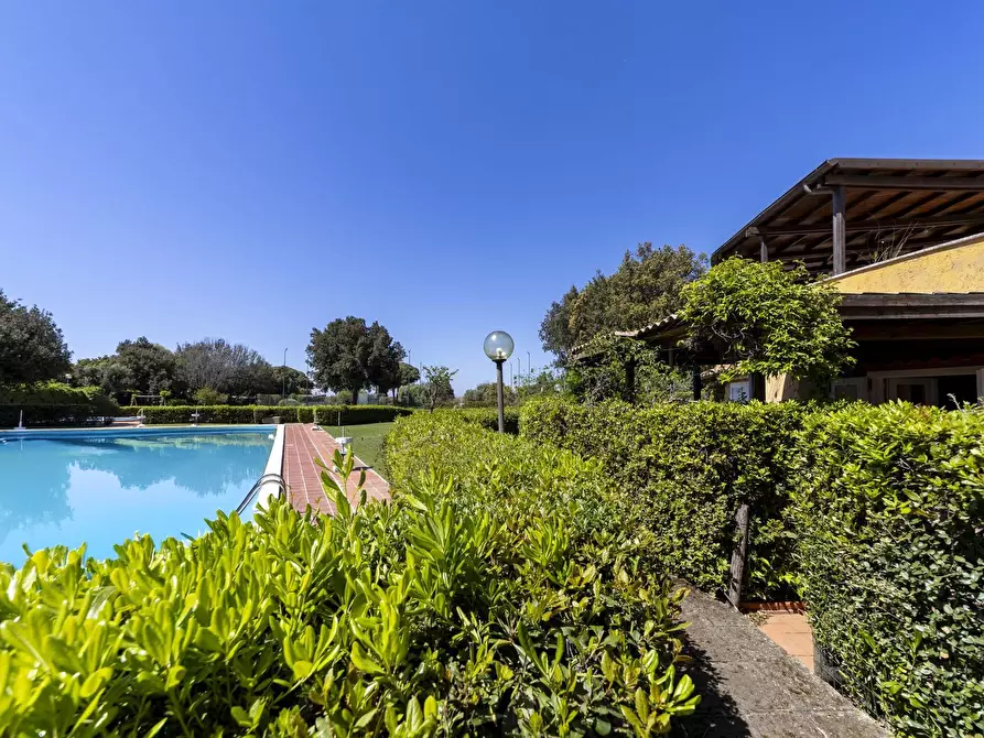 Immagine 24 di Appartamento in affitto  in Residence Il Mascherino snc a Monte Argentario