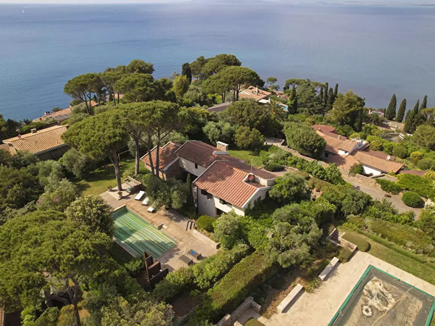 Immagine 4 di Villa in vendita  in Località Pianone Basso snc a Monte Argentario