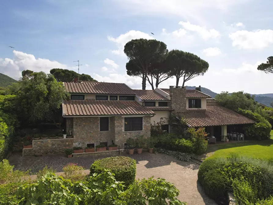 Immagine 48 di Villa in vendita  in Località Pianone Basso snc a Monte Argentario