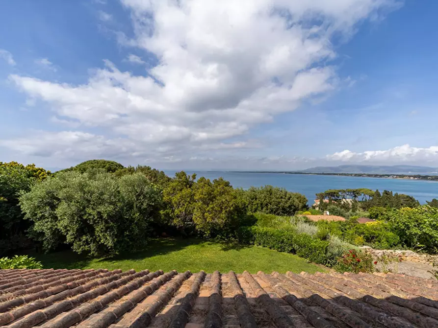 Immagine 30 di Villa in vendita  in Località Pianone Basso snc a Monte Argentario