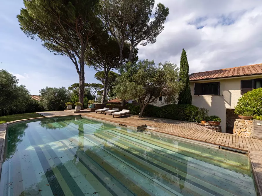 Immagine 44 di Villa in vendita  in Località Pianone Basso snc a Monte Argentario