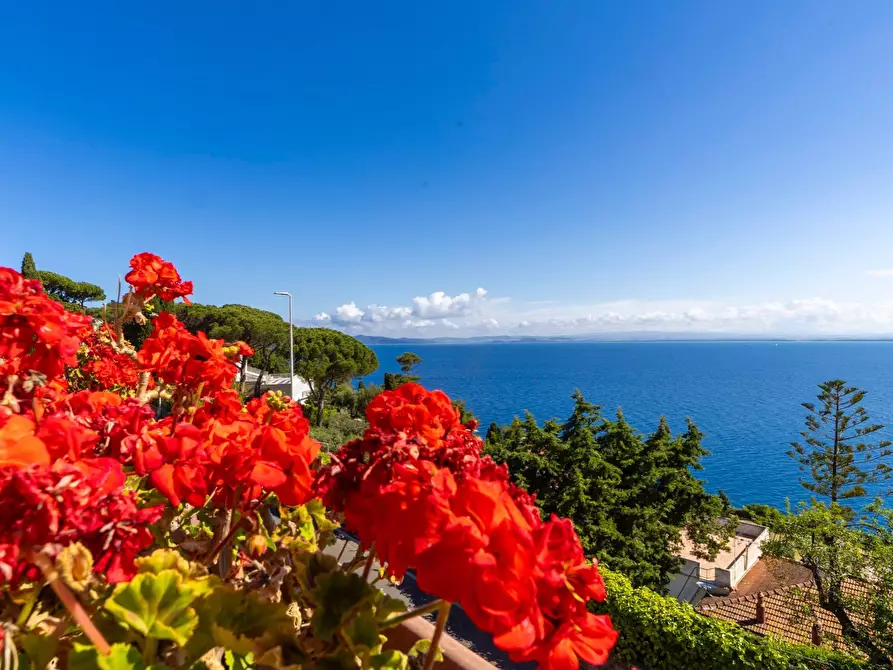 Immagine 33 di Appartamento in vendita  in Via Panoramica snc a Monte Argentario