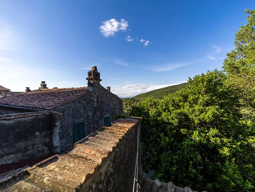 Immagine 21 di Appartamento in vendita  in Via Garibaldi snc a Capalbio