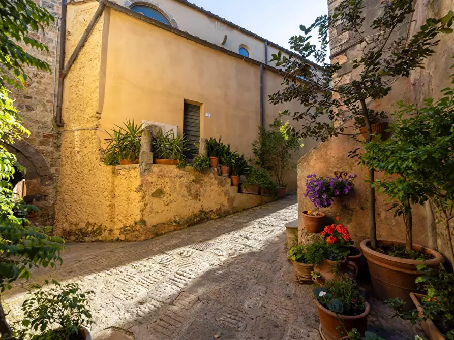 Immagine 17 di Appartamento in vendita  in Via Garibaldi snc a Capalbio