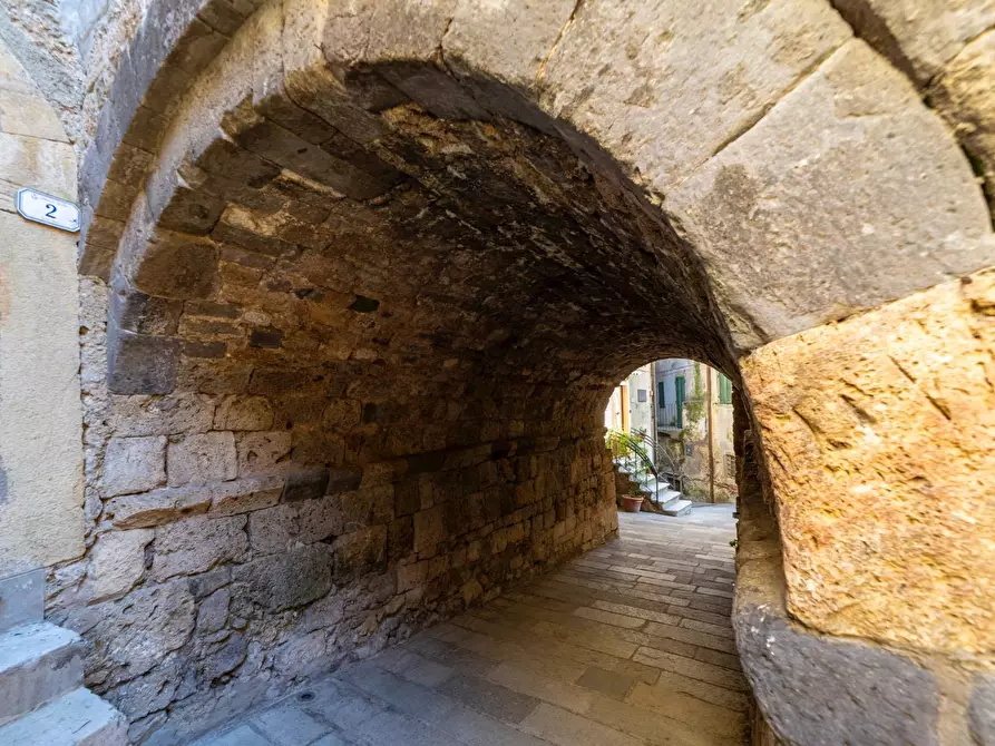 Immagine 20 di Appartamento in vendita  in Via Garibaldi snc a Capalbio