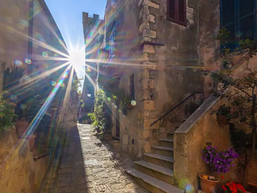 Immagine 22 di Appartamento in vendita  in Via Garibaldi snc a Capalbio