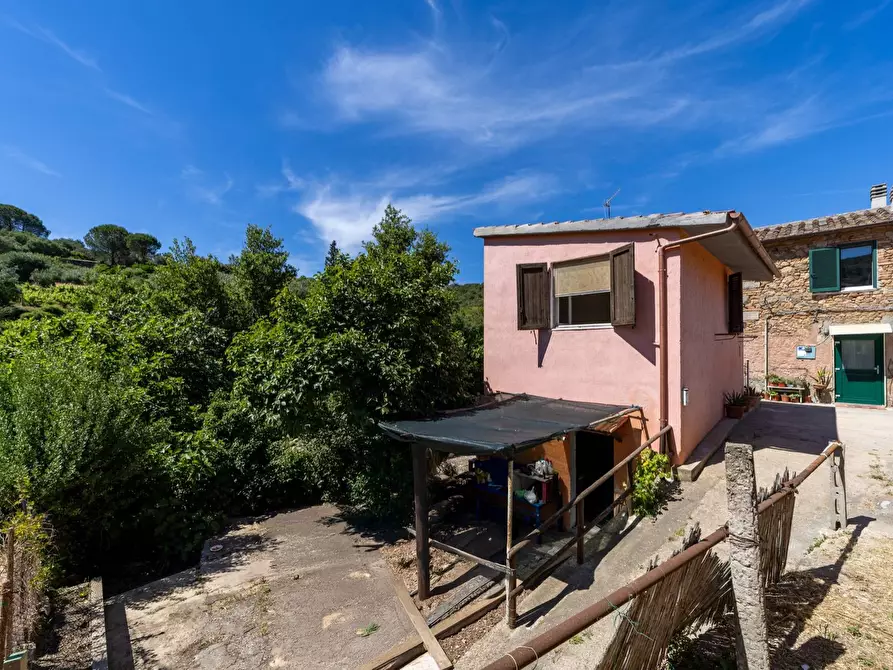 Immagine 14 di Casa indipendente in vendita  in Via del Campone snc a Monte Argentario