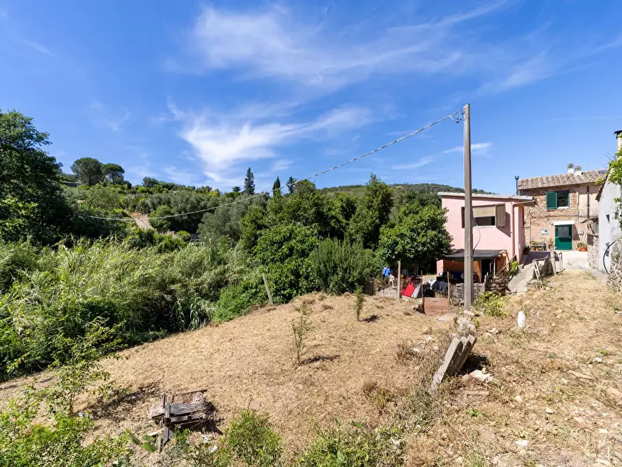 Immagine 12 di Casa indipendente in vendita  in Via del Campone snc a Monte Argentario