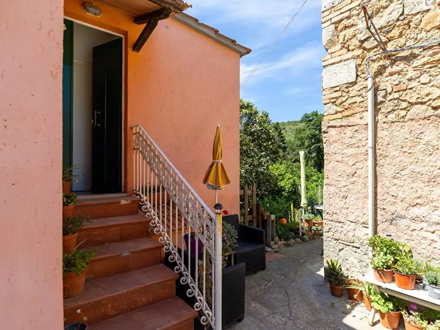 Immagine 3 di Casa indipendente in vendita  in Via del Campone snc a Monte Argentario