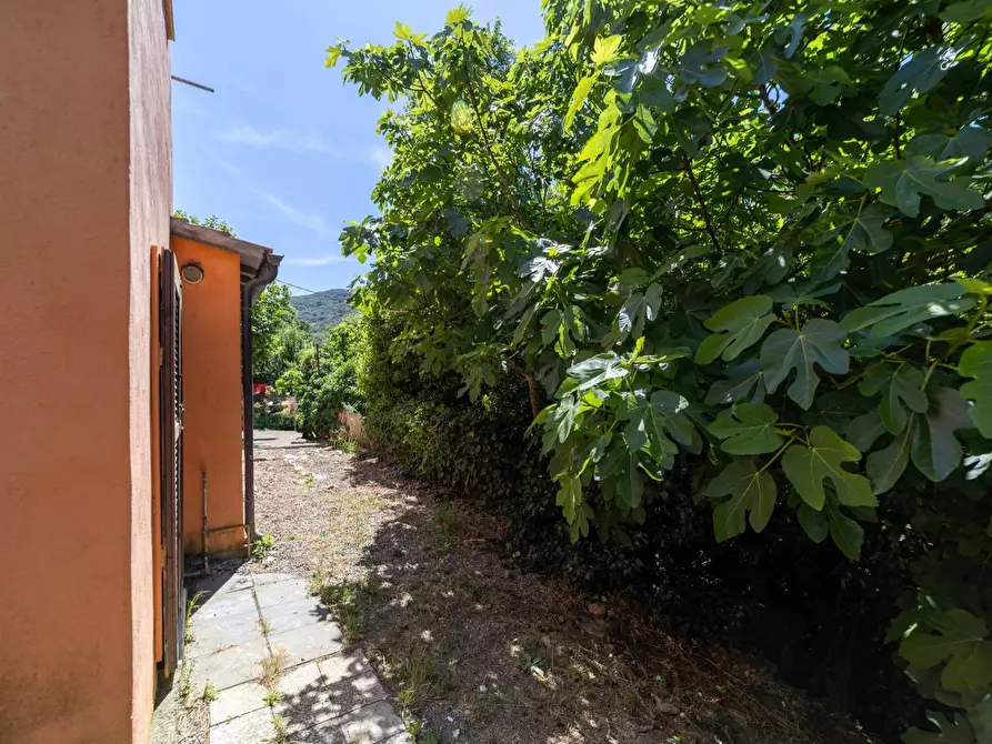 Immagine 15 di Casa indipendente in vendita  in Via del Campone snc a Monte Argentario