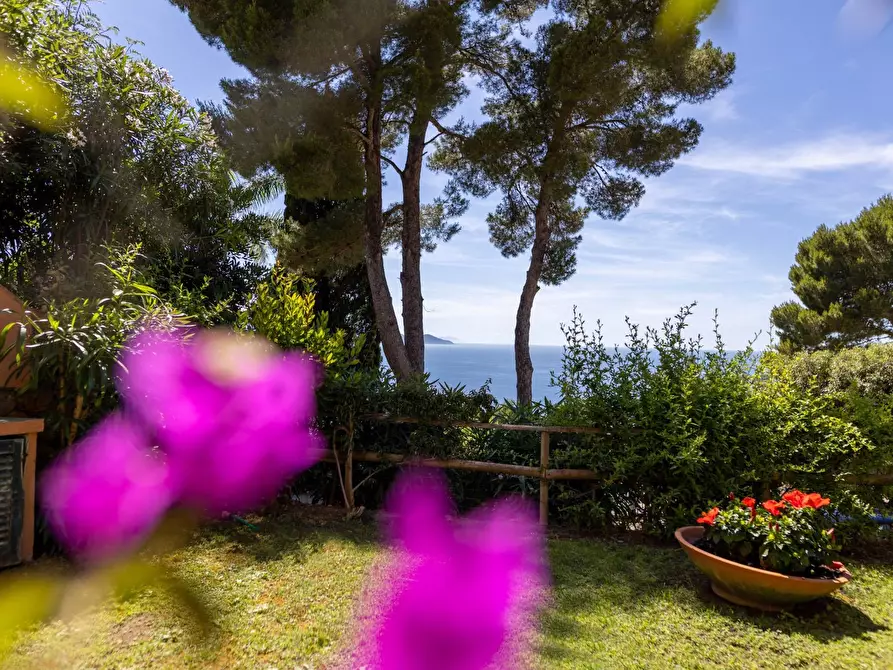 Immagine 23 di Appartamento in affitto  in Via dei Pionieri snc a Monte Argentario