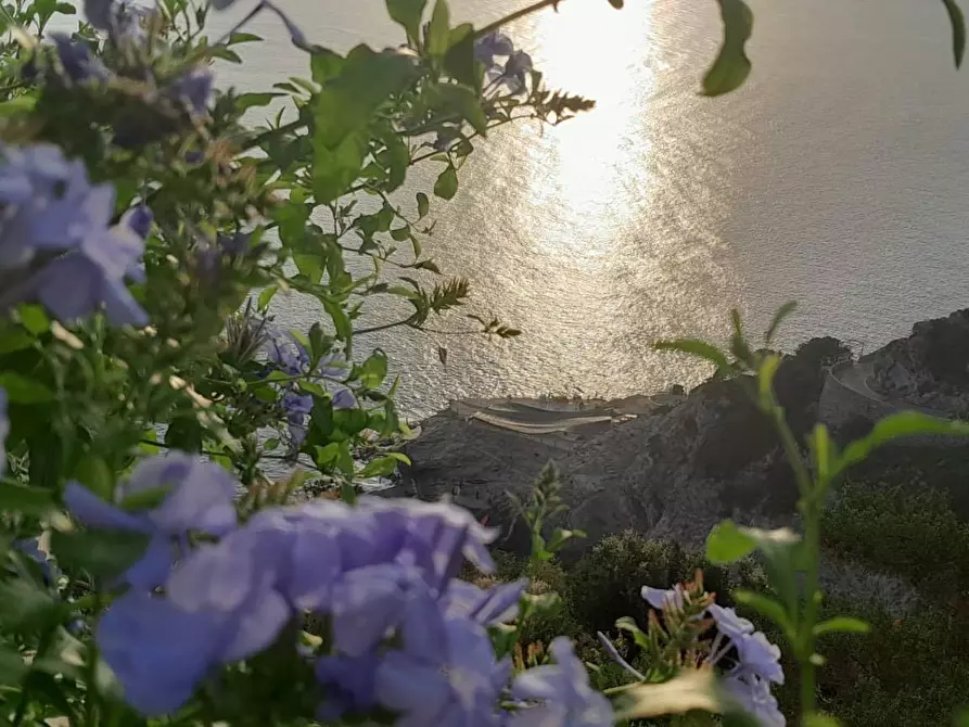 Immagine 7 di Appartamento in vendita  in Località Cala Moresca snc a Monte Argentario