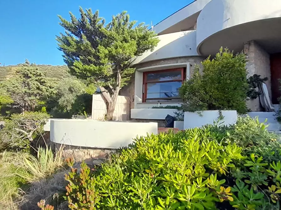 Immagine 3 di Appartamento in vendita  in Località Cala Moresca snc a Monte Argentario