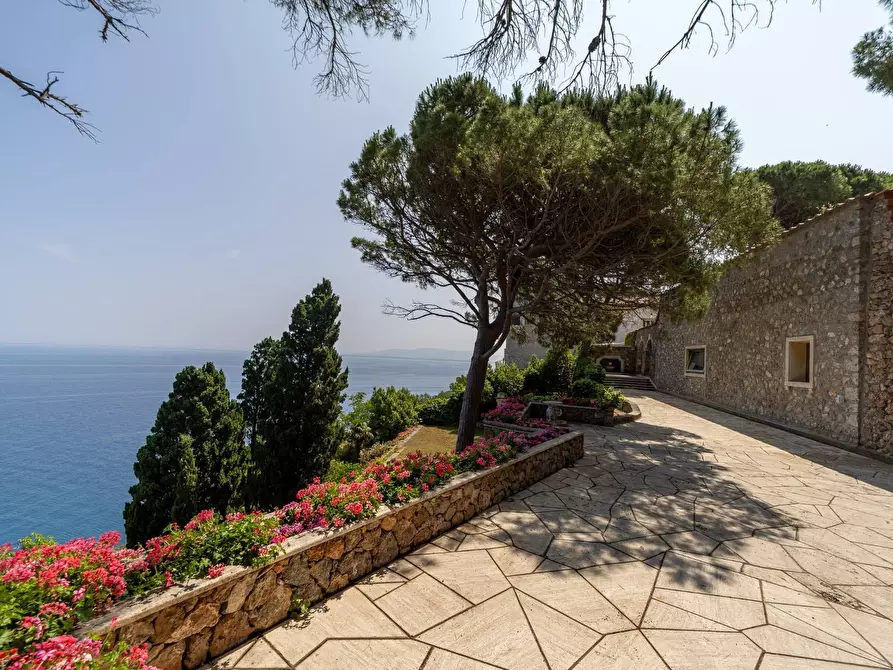 Immagine 5 di Villa in vendita  in Via Panoramica 126 a Monte Argentario