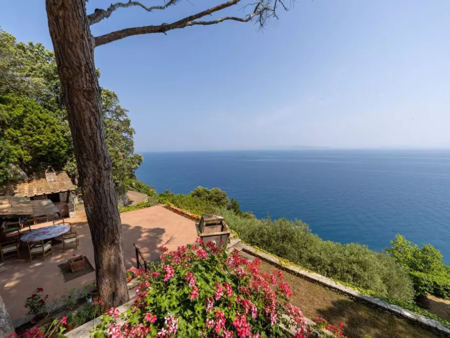 Immagine 4 di Villa in vendita  in Via Panoramica 126 a Monte Argentario