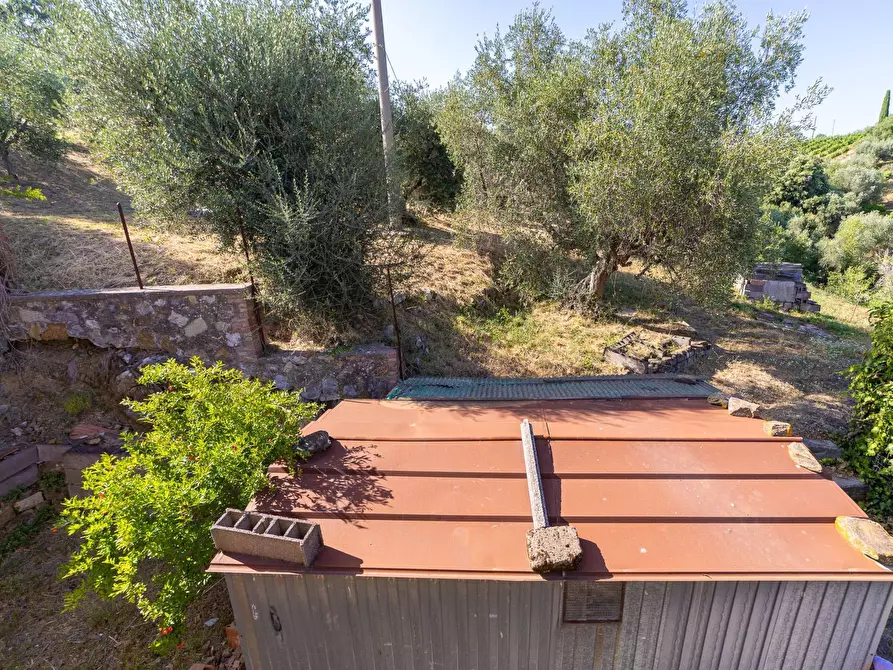 Immagine 22 di Casa indipendente in vendita  in via garibaldi 19 a Magliano In Toscana