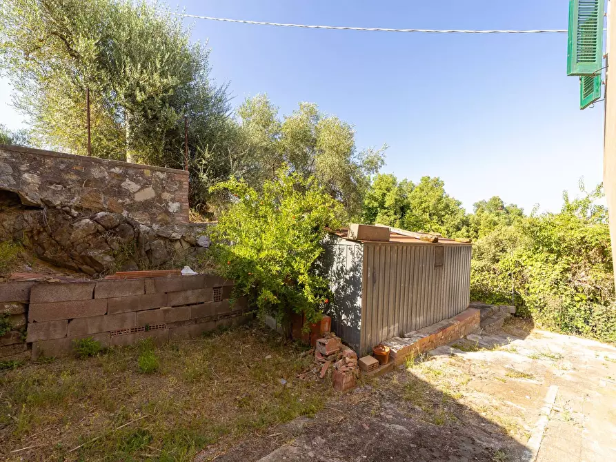 Immagine 24 di Casa indipendente in vendita  in via garibaldi 19 a Magliano In Toscana