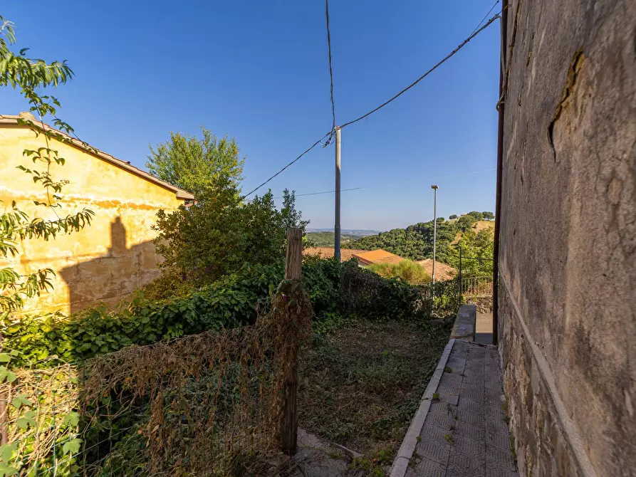 Immagine 25 di Casa indipendente in vendita  in via garibaldi 19 a Magliano In Toscana