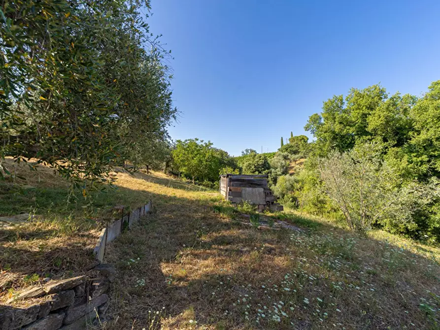 Immagine 2 di Casa indipendente in vendita  in via garibaldi 19 a Magliano In Toscana
