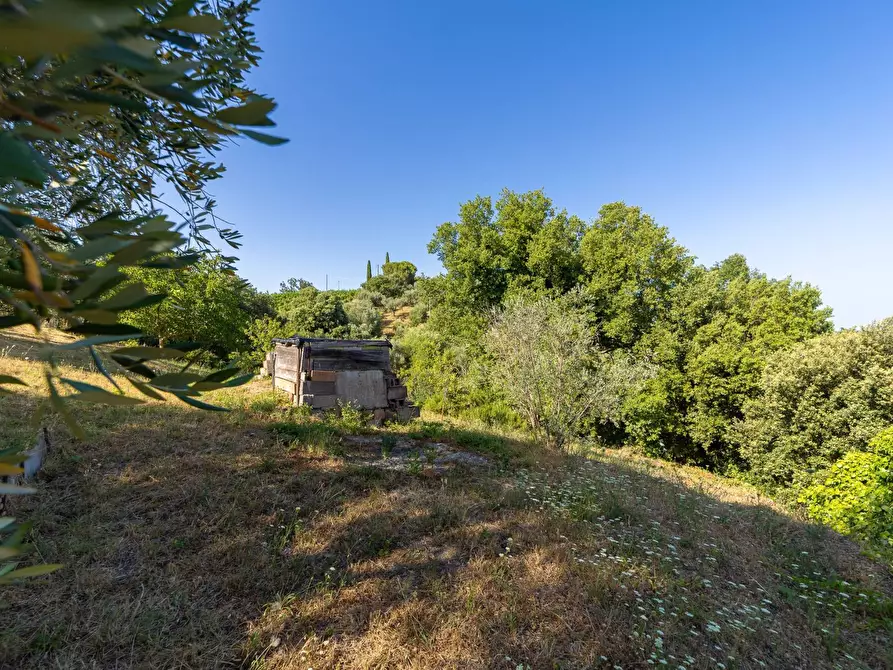 Immagine 26 di Casa indipendente in vendita  in via garibaldi 19 a Magliano In Toscana