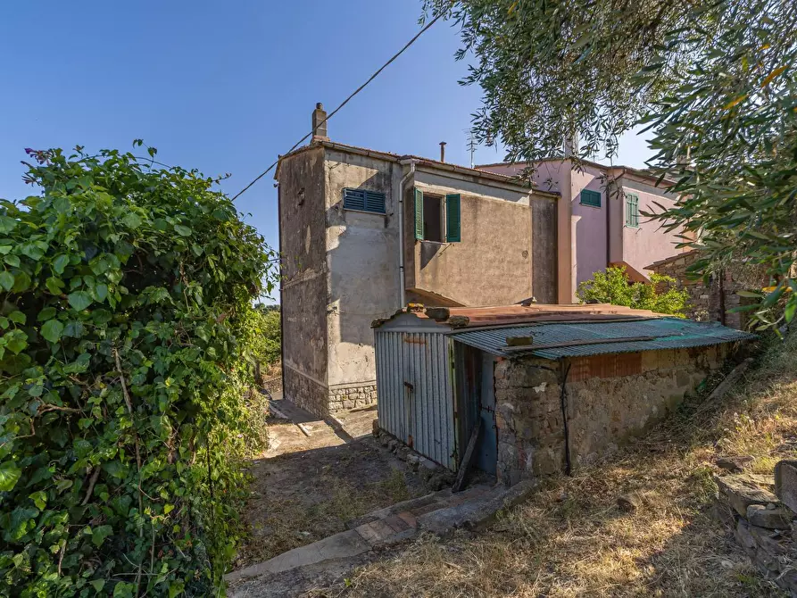 Immagine 7 di Casa indipendente in vendita  in via garibaldi 19 a Magliano In Toscana