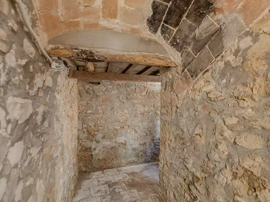 Immagine 17 di Attico in vendita  in pereta a Magliano In Toscana