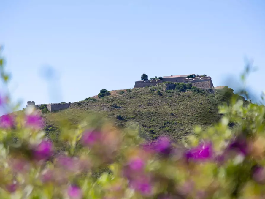 Immagine 12 di Appartamento in vendita  in Poggio Pertuso Alto snc a Monte Argentario