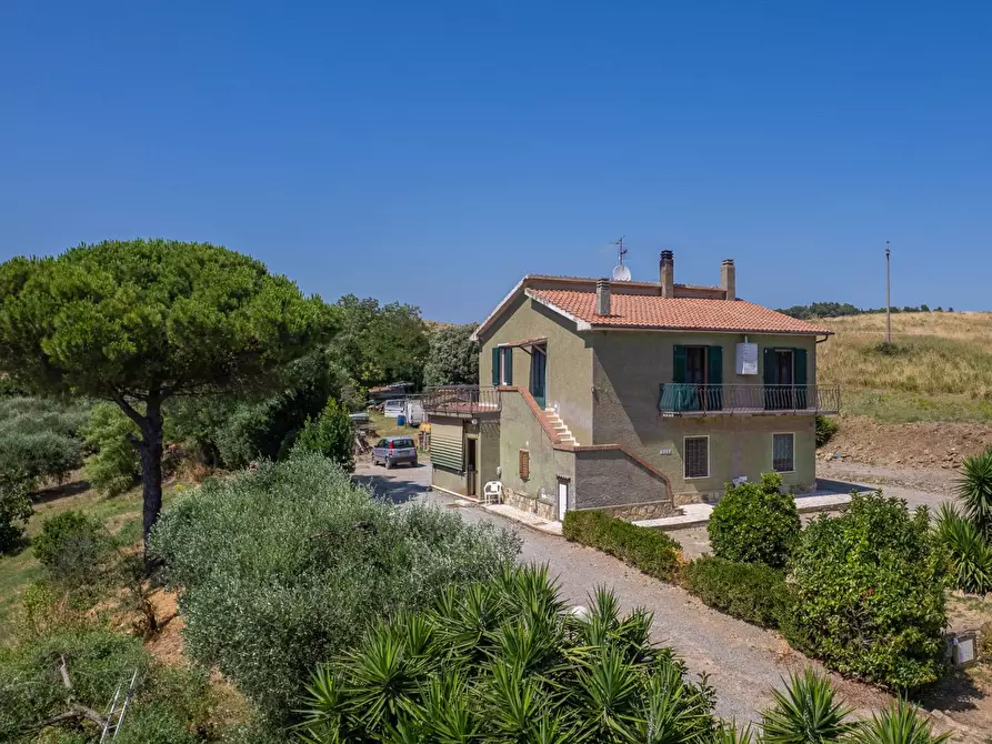 Immagine 4 di Casa indipendente in vendita  in Strada Vicinale dei Bagnacci 23 a Orbetello