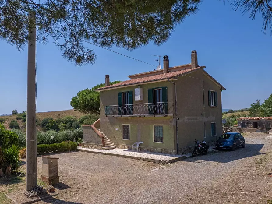 Immagine 19 di Casa indipendente in vendita  in Strada Vicinale dei Bagnacci 23 a Orbetello