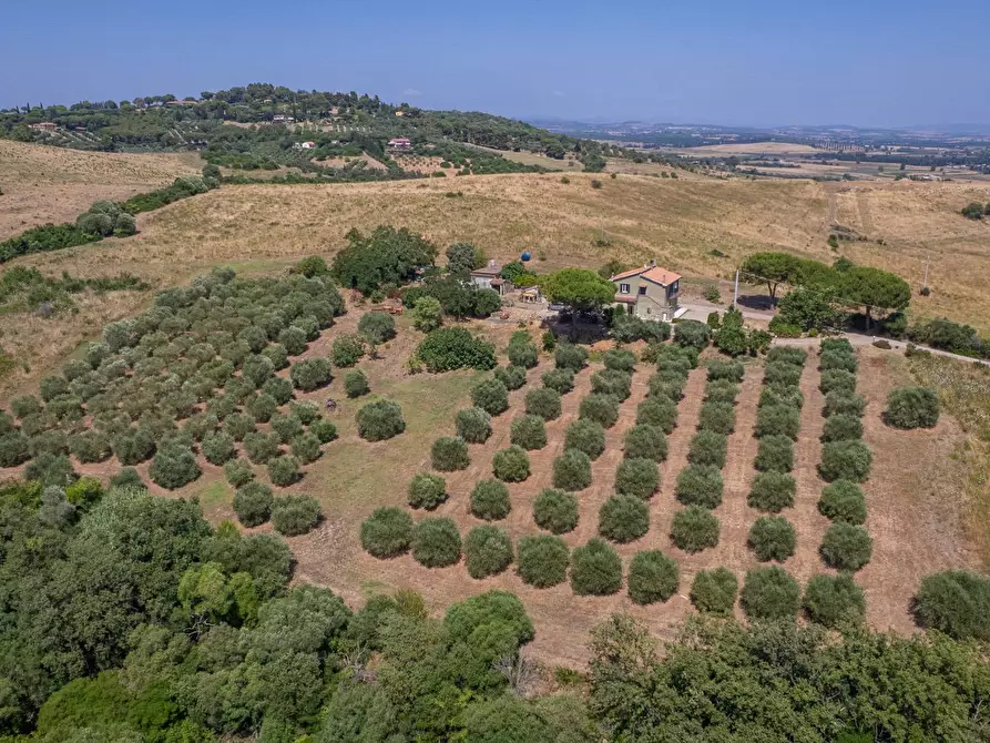 Immagine 2 di Casa indipendente in vendita  in Strada Vicinale dei Bagnacci 23 a Orbetello