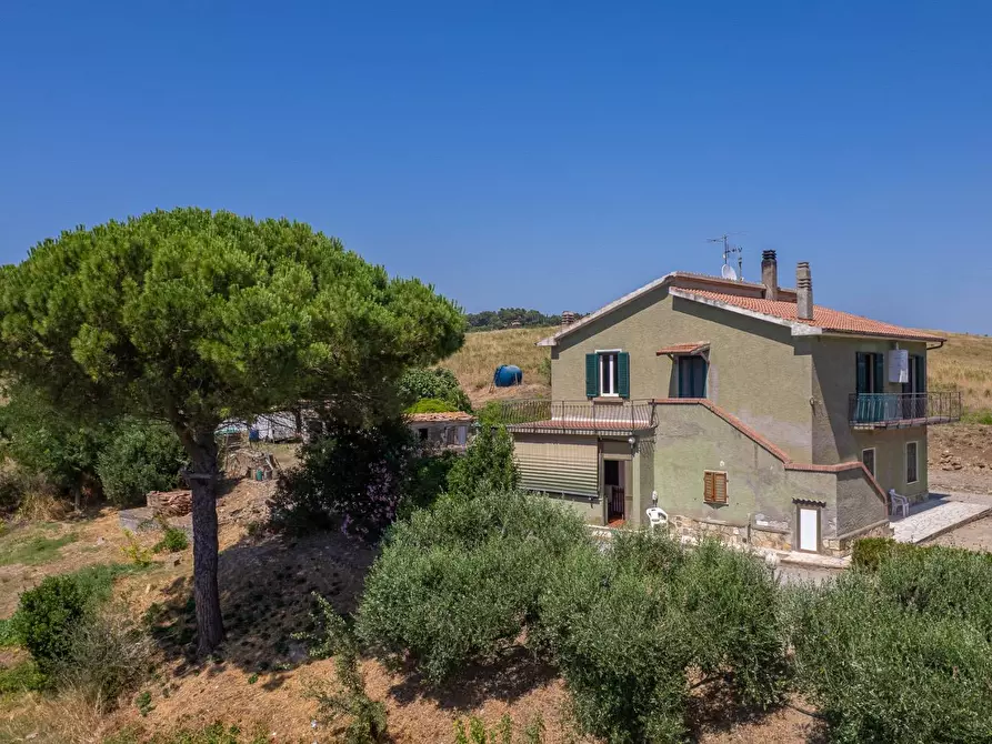 Immagine 5 di Casa indipendente in vendita  in Strada Vicinale dei Bagnacci 23 a Orbetello