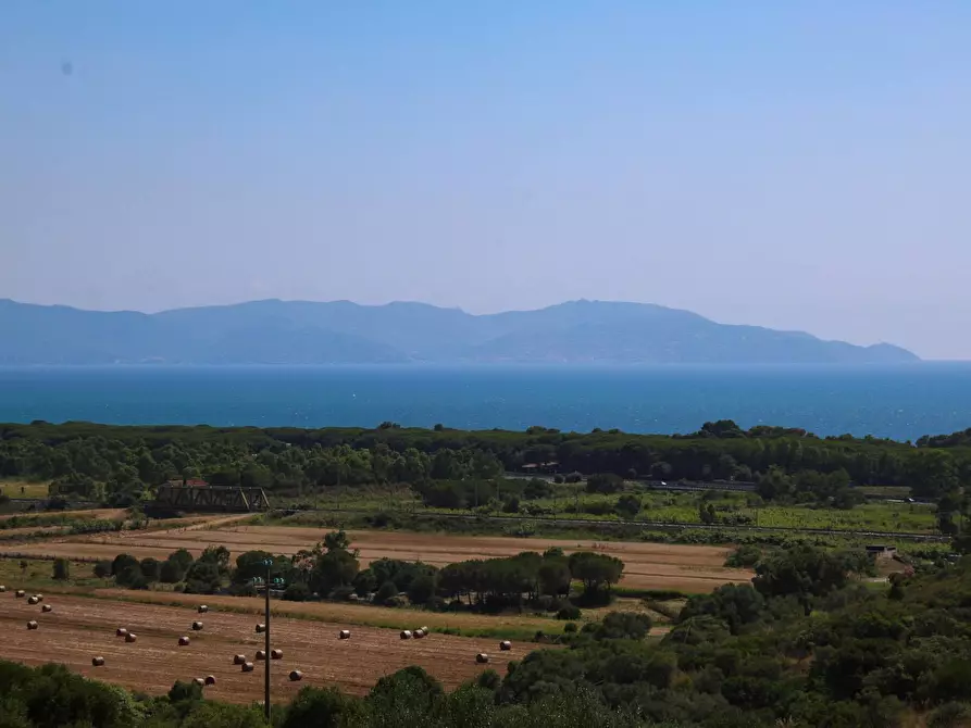 Immagine 26 di Casa indipendente in vendita  in Strada Vicinale dei Bagnacci 23 a Orbetello