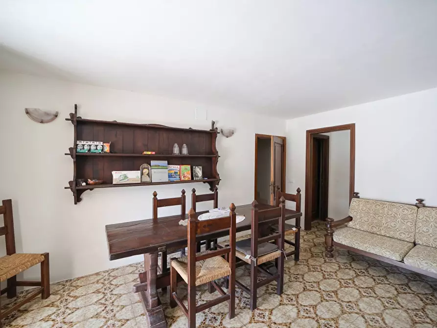 Immagine 13 di Villa in affitto  in Strada Vicinale  del Pino snc a Orbetello