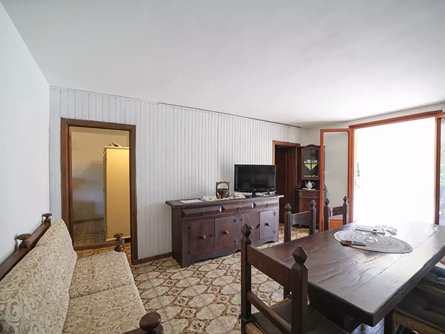 Immagine 15 di Villa in affitto  in Strada Vicinale  del Pino snc a Orbetello