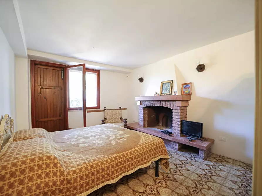 Immagine 18 di Villa in affitto  in Strada Vicinale  del Pino snc a Orbetello