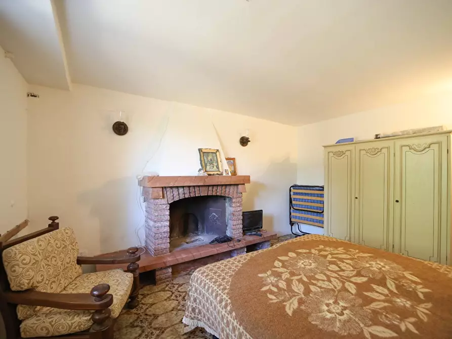 Immagine 19 di Villa in affitto  in Strada Vicinale  del Pino snc a Orbetello