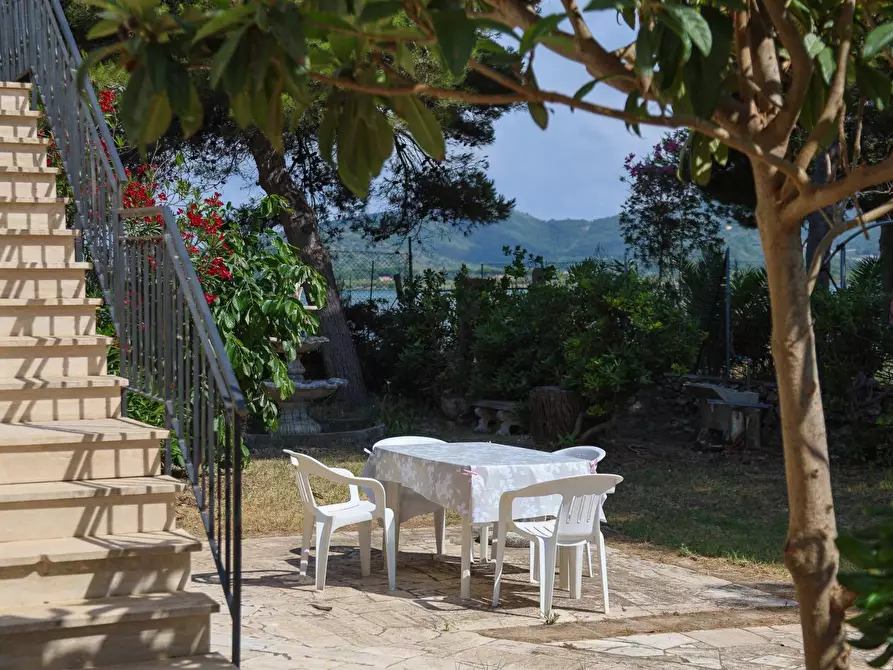 Immagine 6 di Villa in affitto  in Strada Vicinale  del Pino snc a Orbetello