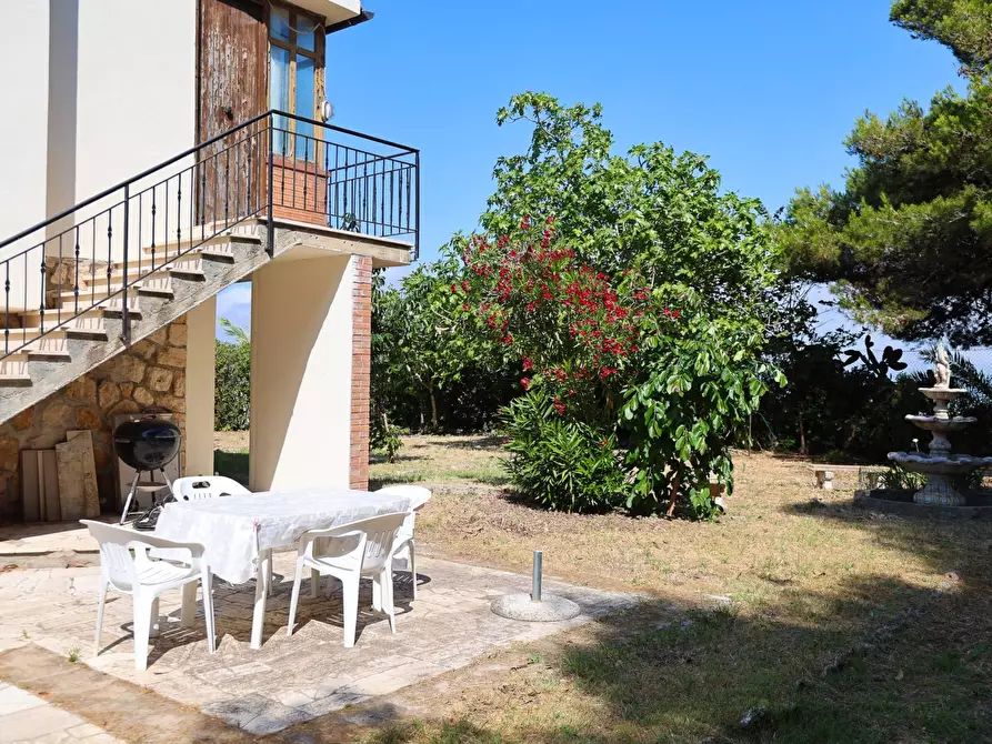 Immagine 7 di Villa in affitto  in Strada Vicinale  del Pino snc a Orbetello