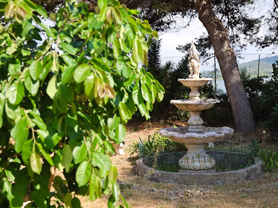 Immagine 20 di Villa in affitto  in Strada Vicinale  del Pino snc a Orbetello