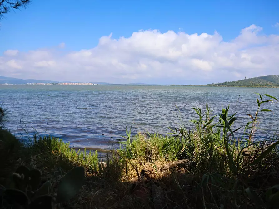 Immagine 8 di Villa in affitto  in Strada Vicinale  del Pino snc a Orbetello
