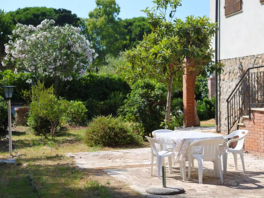 Immagine 21 di Villa in affitto  in Strada Vicinale  del Pino snc a Orbetello