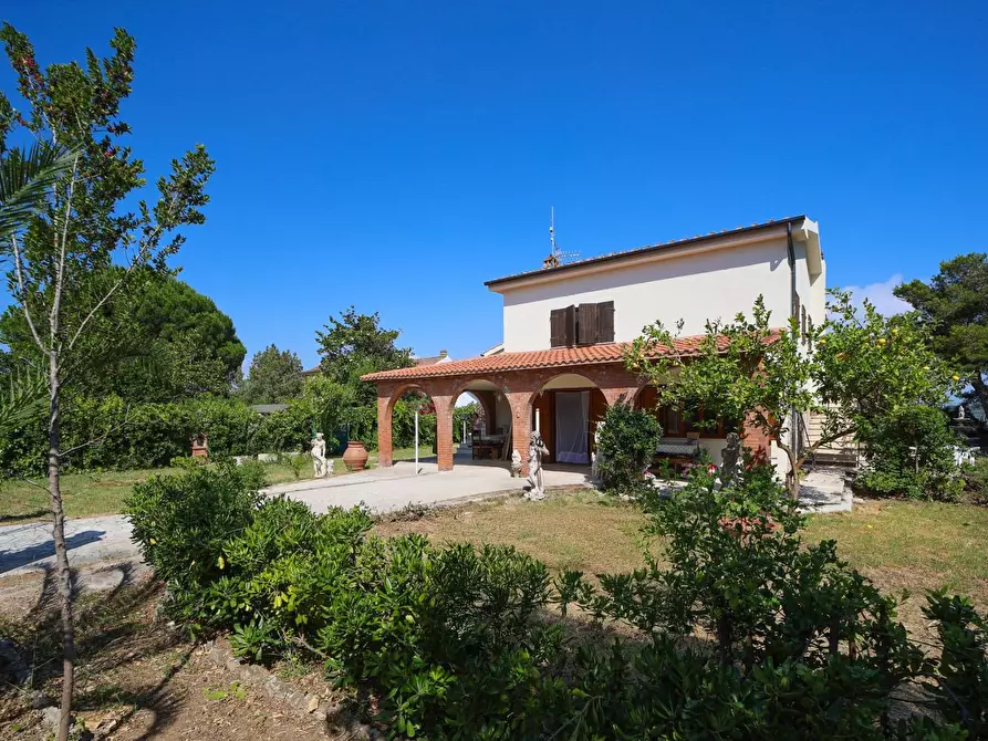Immagine 9 di Villa in affitto  in Strada Vicinale  del Pino snc a Orbetello
