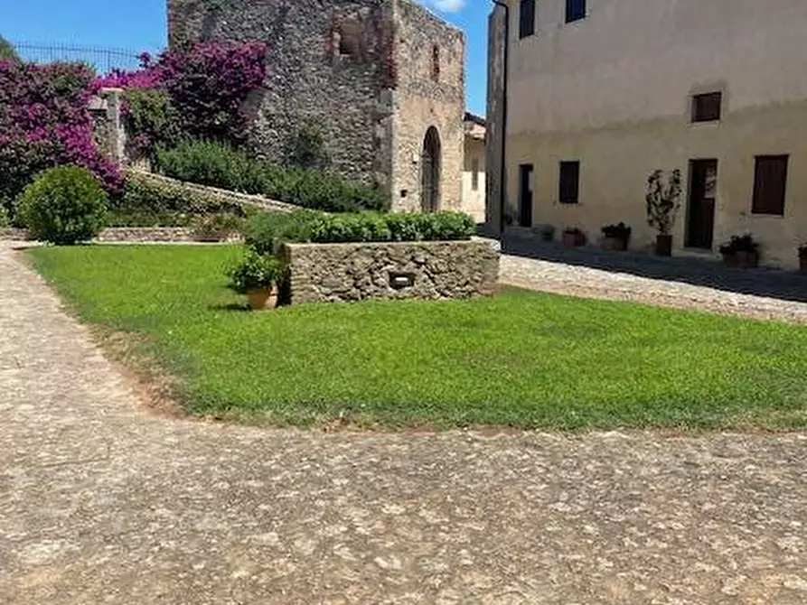 Immagine 8 di Cantina in vendita  in Forte La Rocca snc a Monte Argentario