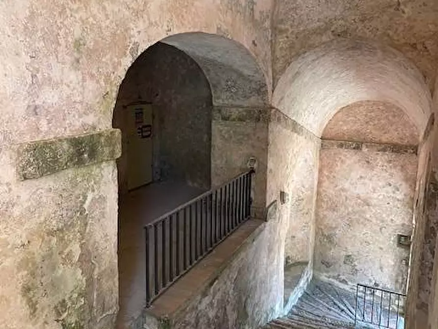 Immagine 4 di Cantina in vendita  in Forte La Rocca snc a Monte Argentario